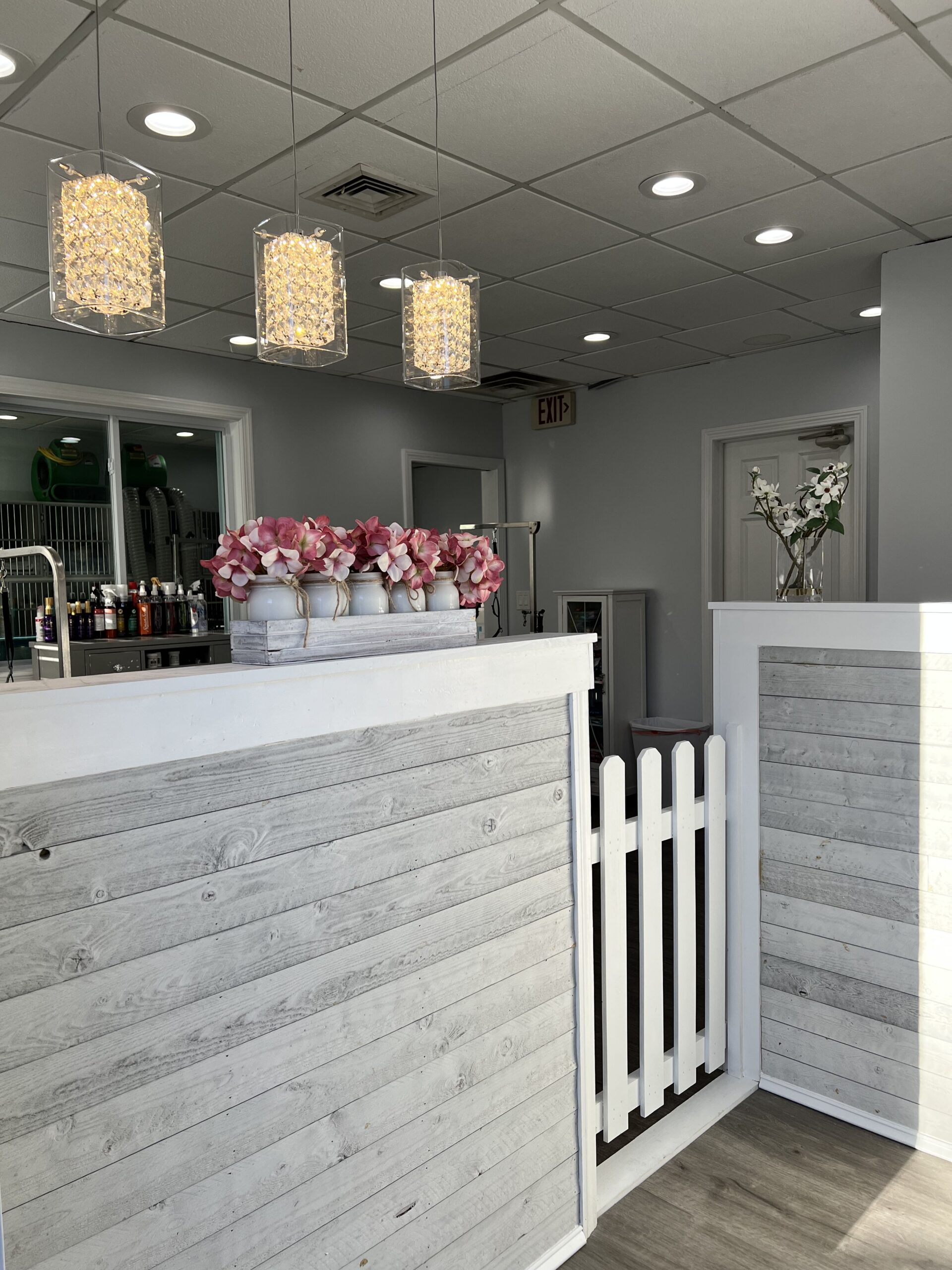 spa dogz new canaan 1